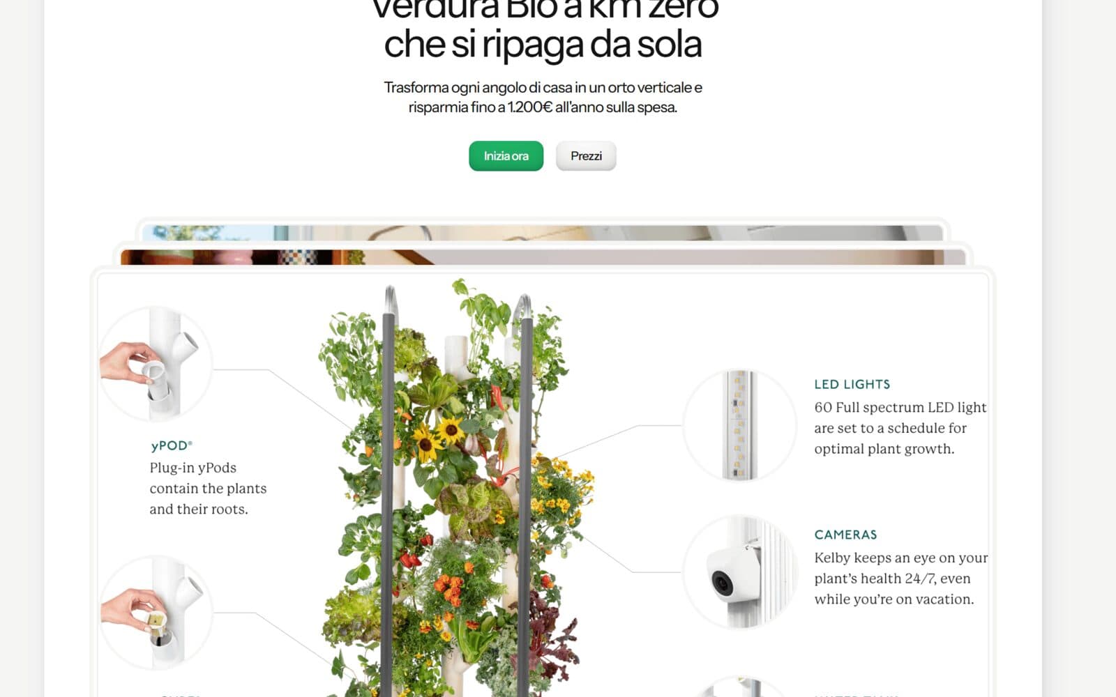 GrowStar